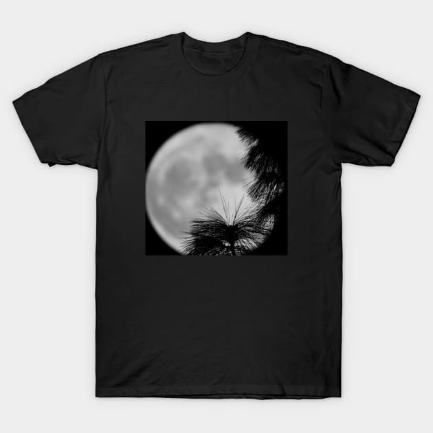 Full moon T-Shirt by RobertsArt